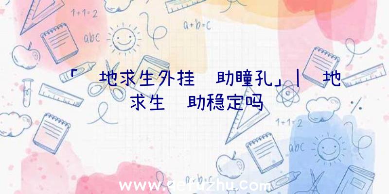 「绝地求生外挂辅助瞳孔」|绝地求生辅助稳定吗